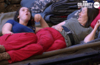 imacelebrityau GIF by I'm A Celebrity... Get Me Out Of Here! Australia