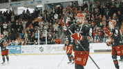 Ice Hockey GIF by Cardiff Devils