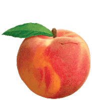 RobMathieson sticker trump fruit worm Sticker