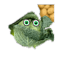 Cabbage Kohl Sticker