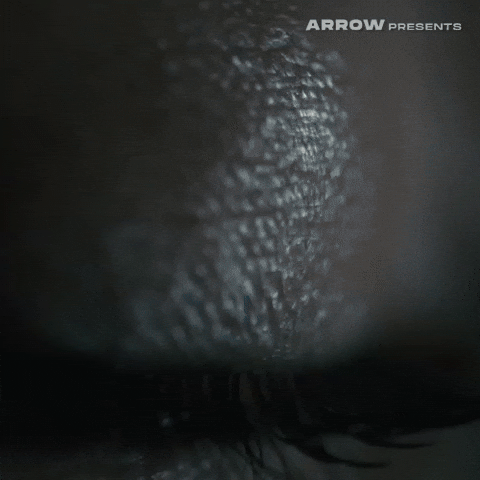 High School Film GIF by Arrow Video