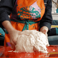 sourdoughdisco disco sourdough GIF