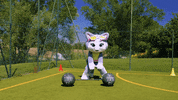 Sport Stretching GIF by 44 Cats