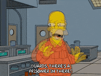 homer simpson GIF