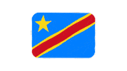 emojivid emoji flag emojivid congokinshasa Sticker