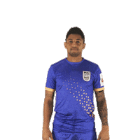 Heroisl Mumbaicityfc Sticker by Indian Super League