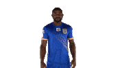 arnoldissoko Sticker by Indian Super League