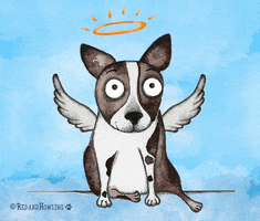 dogs angel GIF by Red & Howling