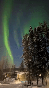 Vibrant Green Aurora Shimmers in Northern Manitoba Sky