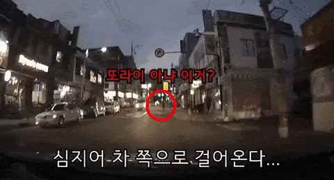 seotor_7 giphyupload GIF