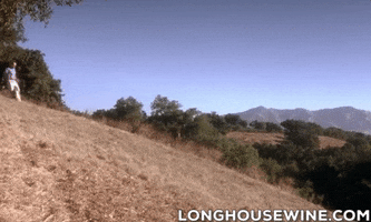 LonghouseWines wine winery wine tasting sideways GIF