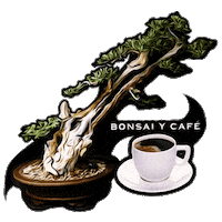 Coffee Cafe Sticker
