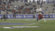 Air Force GIF by Air Force Falcons