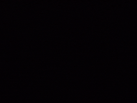 Pamfletim GIF by Tim Pamflet