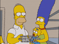 homer simpson GIF