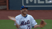 Celebration Baseball GIF by New York Mets