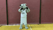 Love You Heart GIF by Cardinal Stritch University