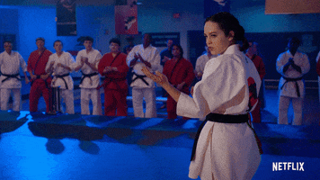 Cobra Kai Karate GIF by NETFLIX