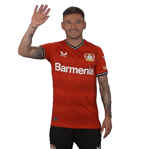 See You Goodbye Sticker by Bayer 04 Leverkusen