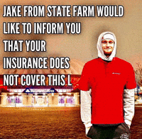 State Farm Illinois GIF
