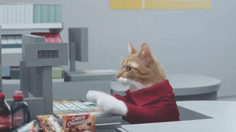 Cat Working GIF by Romy