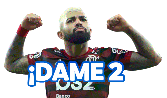 Idioma De Hincha Sticker by Copa América