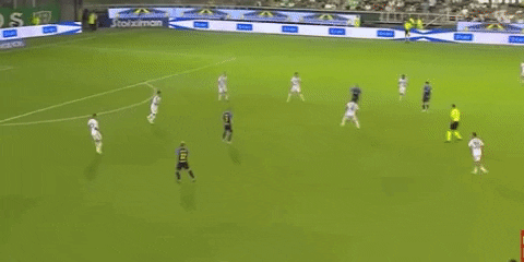 karelvinaricky giphyupload GIF