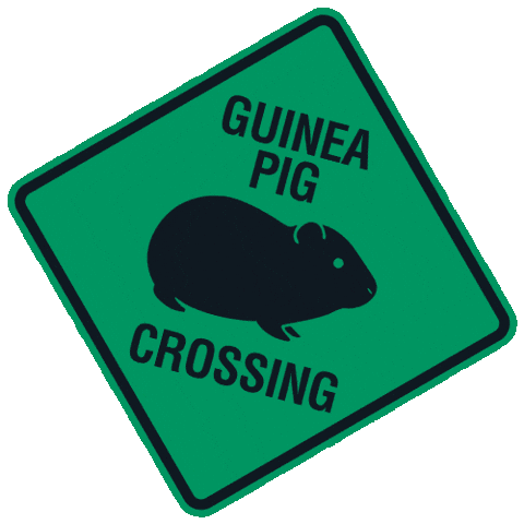 Sweet Cheeks Class Pet Sticker by ABC Network