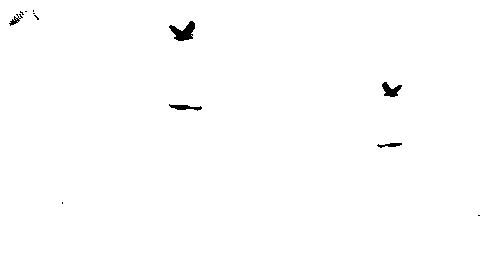 Fka Twigs Sticker by Nordisk Film Finland