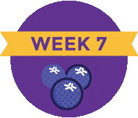 Pregnancy Baby Size Sticker by What to Expect