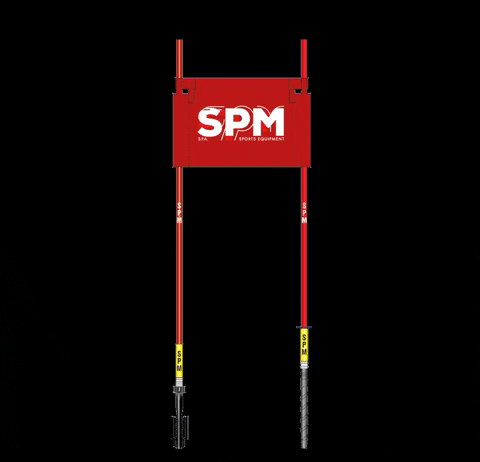 SPMsport giphygifmaker ski fis alpine ski race GIF