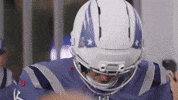 Football Nfl GIF by New England Patriots