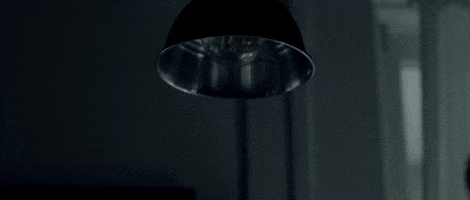 Davidly - Spiders in the Room