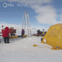 Pbs Biology GIF by WGBH Boston