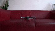 dji GIF by Red Gaskell