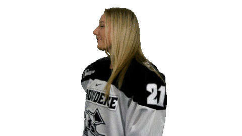 Sticker by Providence Friars