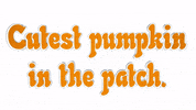 Fall Autumn GIF