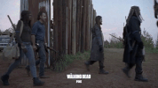 the walking dead fox GIF