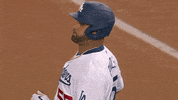 Los Angeles Sport GIF by MLB