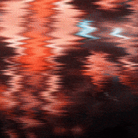 Teamelite GIF