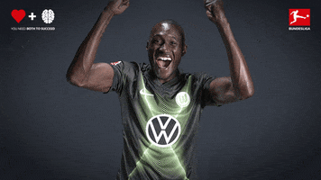 Wecbl GIF by Bundesliga