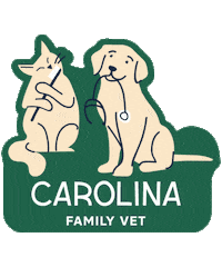 familyvetgroup vet veterinarian familyvet family vet Sticker