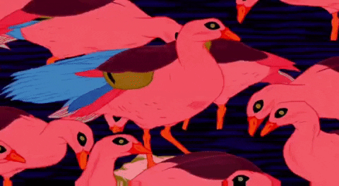 animafestzg  GIF