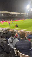 Fun for Fans as Pitch Invader Tackled