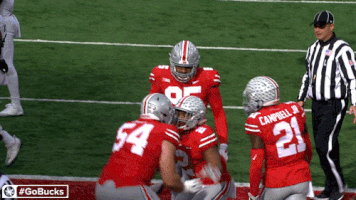 Ncaa Sports GIF by Ohio State Athletics