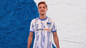 Berlin Sieg GIF by Hertha BSC