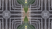 Art Film GIF by jorgemariozuleta