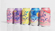 GIF by LaCroix Sparkling Water