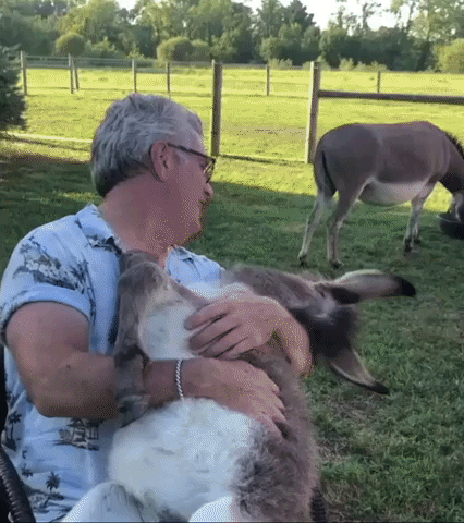 Donkey Treated to Hee-Hawesome Rendition of Grand Funk Railroad Song