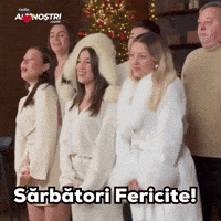 La Multi Ani Craciun Fericit GIF by Ai Nostri